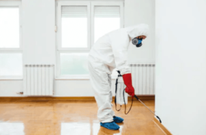 D8-AA-D8-A8-D9-88-D9-83-300x197 شركة تعقيم منازل بتبوك 0556570041