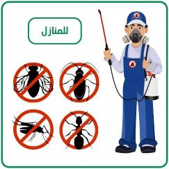شركة مكافحة الحشرات بتبوك